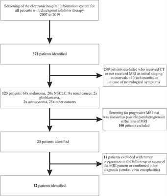 Immune Checkpoint Inhibitor-Induced Cerebral Pseudoprogression: Patterns and Categorization